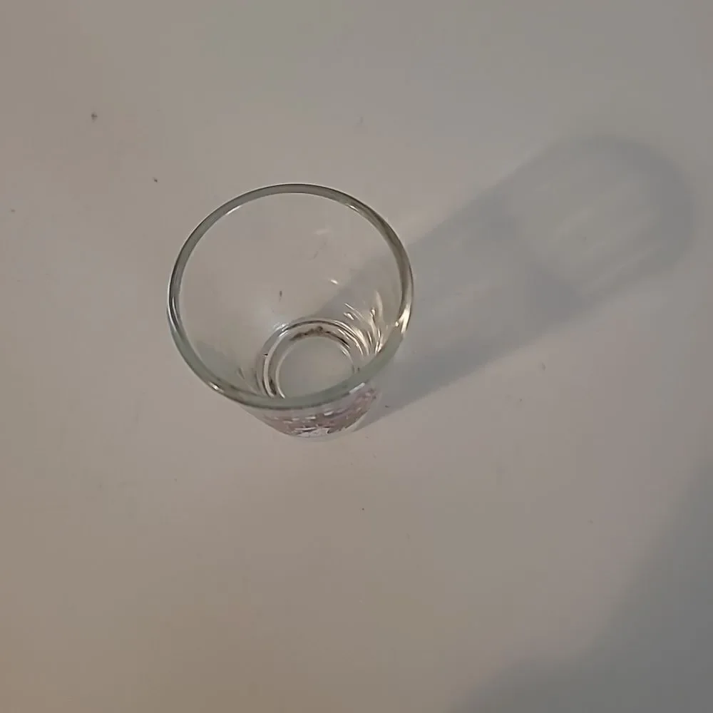 Ohio Shot Glass